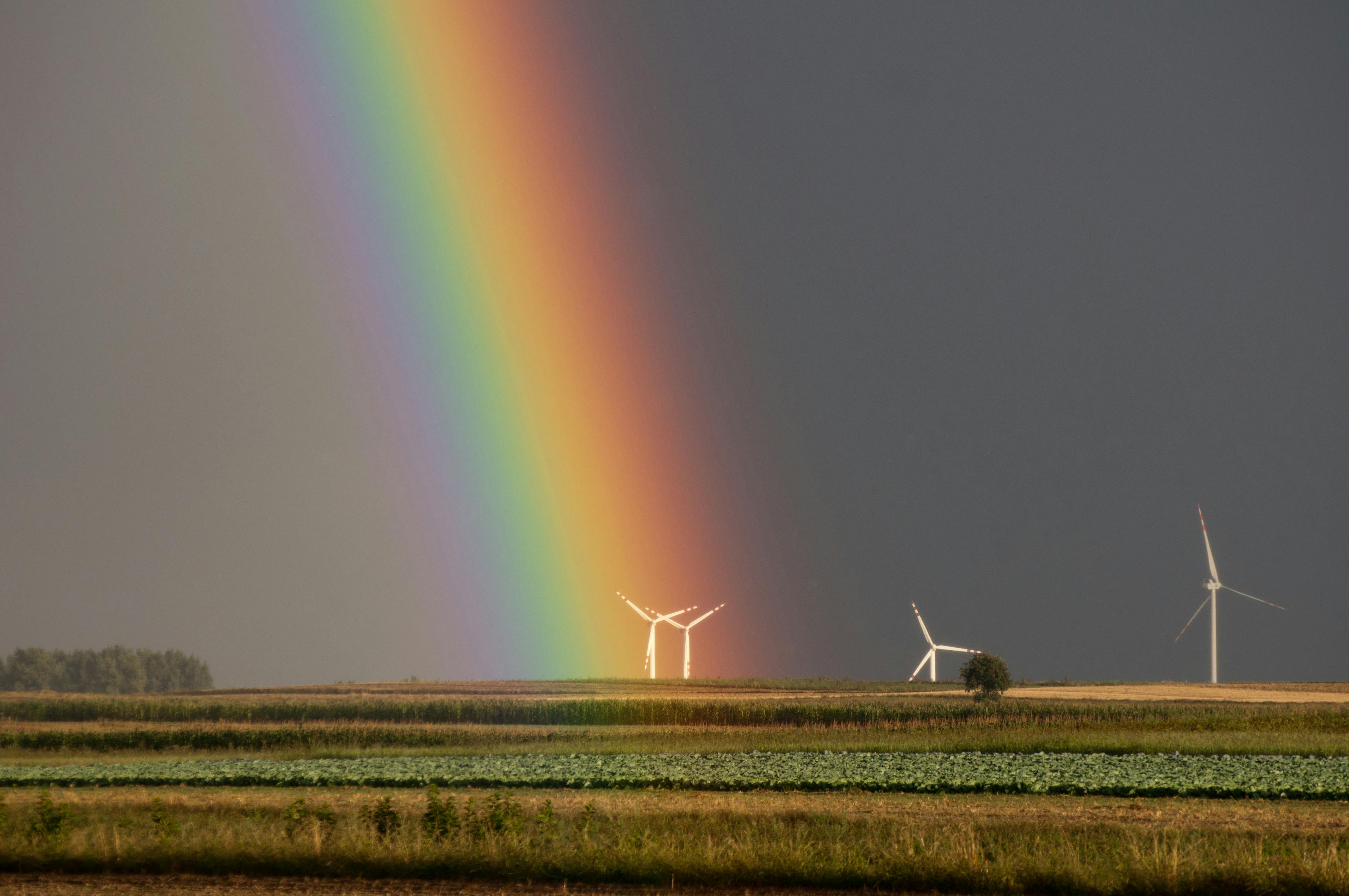 2025 – A Pivotal Year for Sustainable Development: Three Global Milestones to Watch